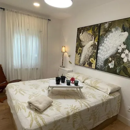 Apartamento Piso Muy Especial Y Acogedor En Huesca
