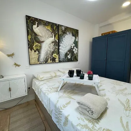 Piso Muy Especial Y Acogedor En * Huesca