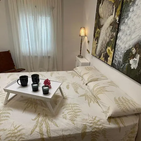 Apartamento Piso Muy Especial Y Acogedor En