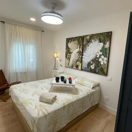 Piso Muy Especial Y Acogedor En Apartamento Huesca